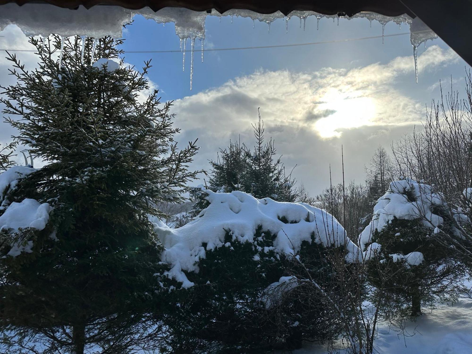 Urocza Chata Z Sauna W Bieszczadzkim Parku Krajobrazowym Bukowiec  Exterior foto